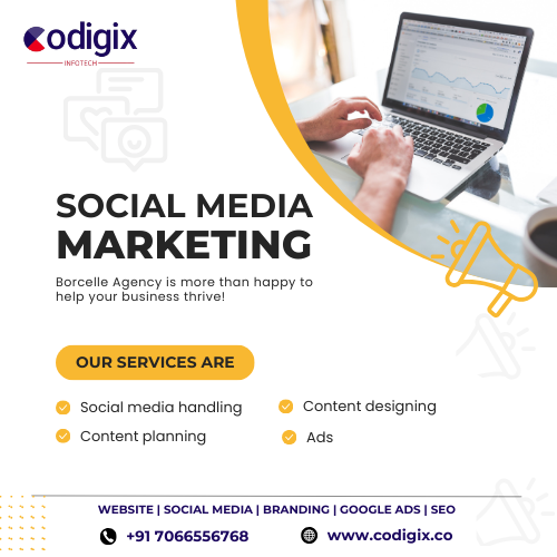Top Social Media Marketing Agency in PCMC – Codigix Infotech